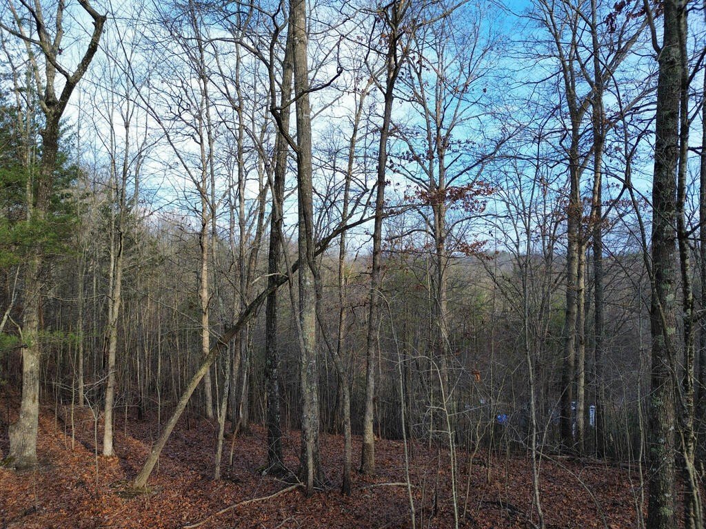 Picture 42