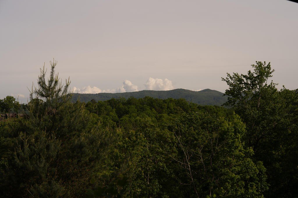 Picture 32