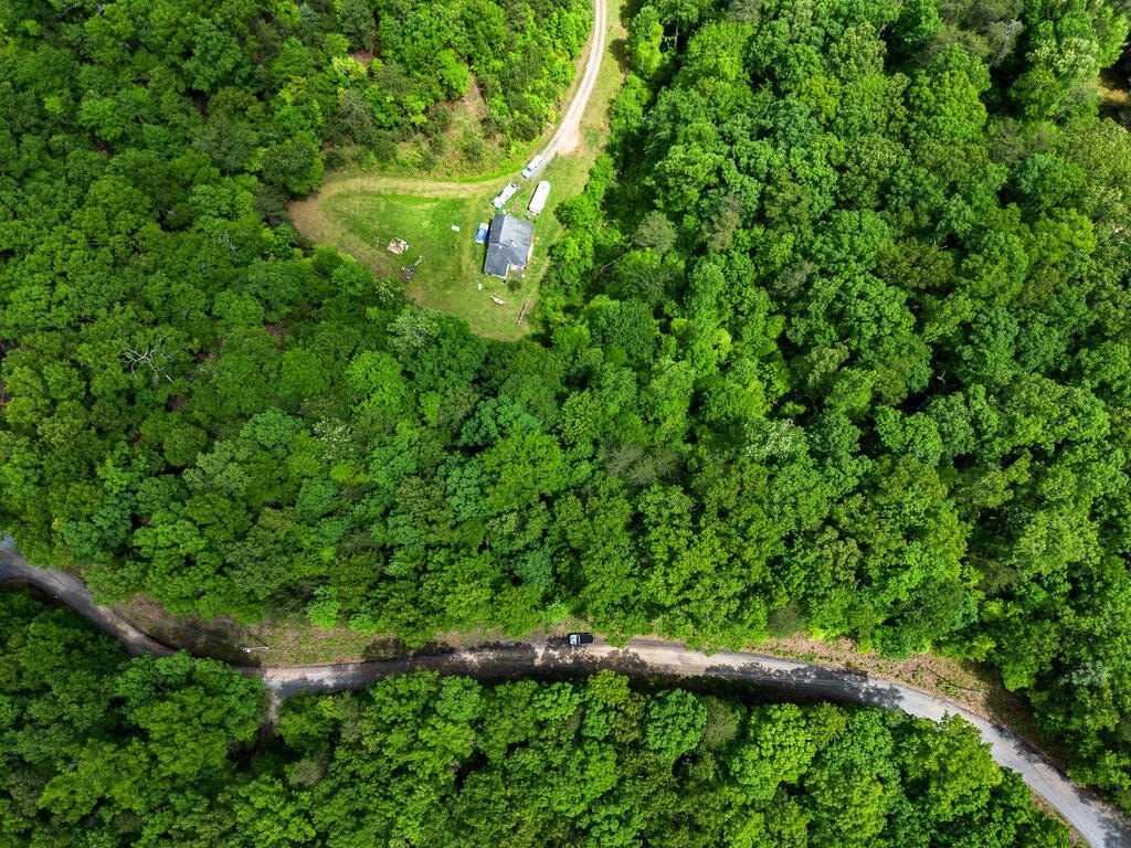 Picture 11