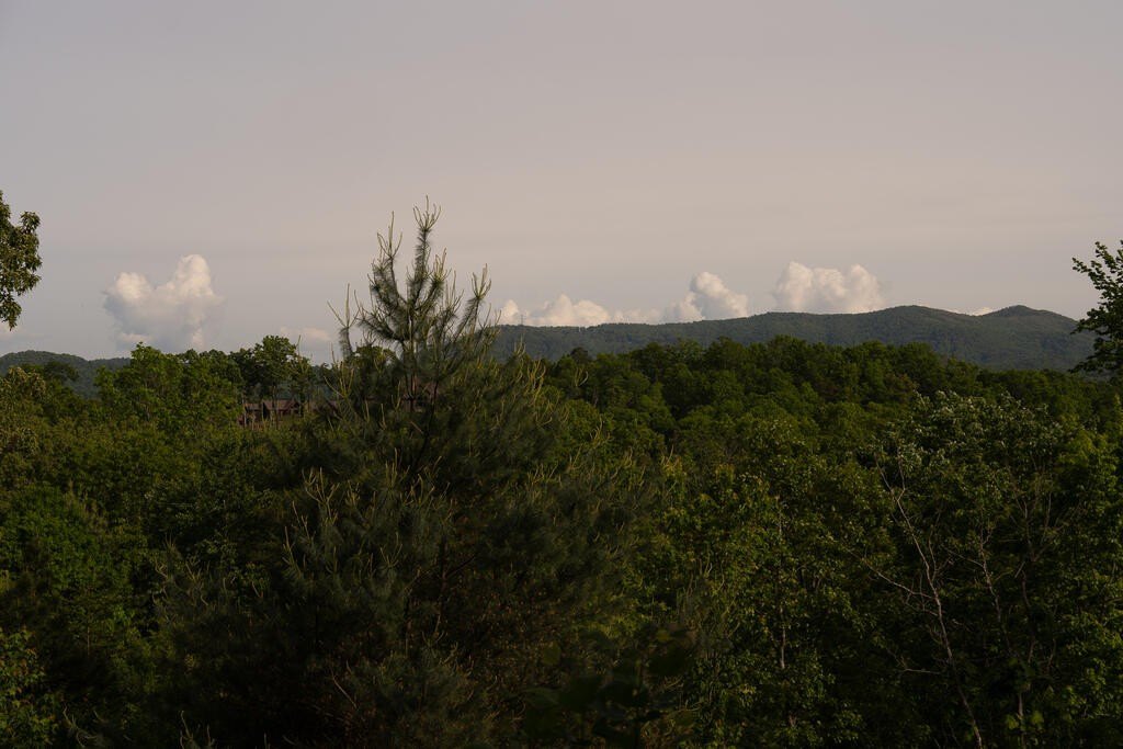 Picture 33