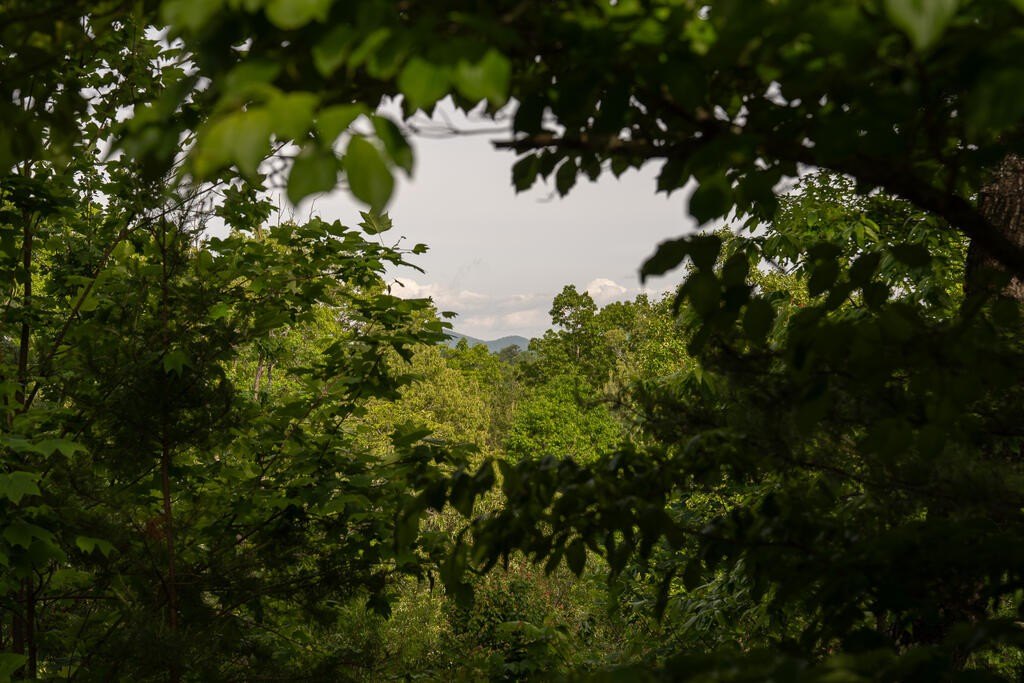 Picture 34