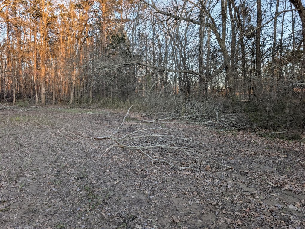 Picture 26