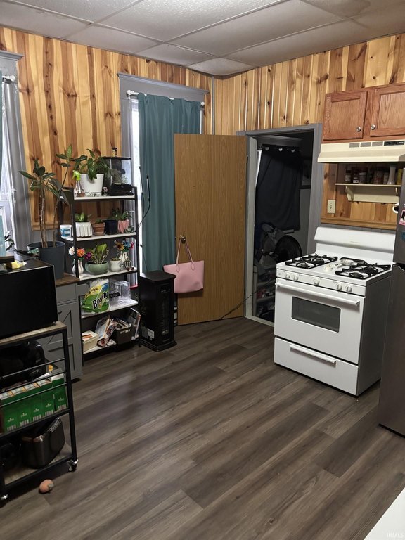 Picture 28