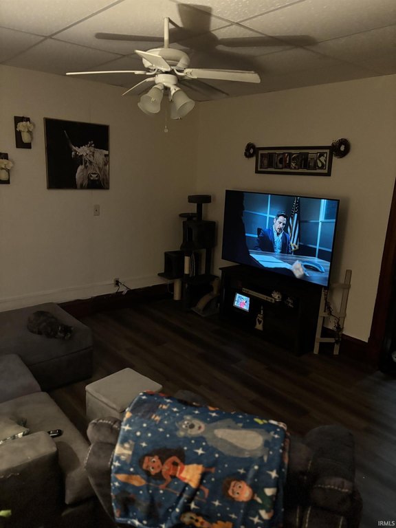Picture 30