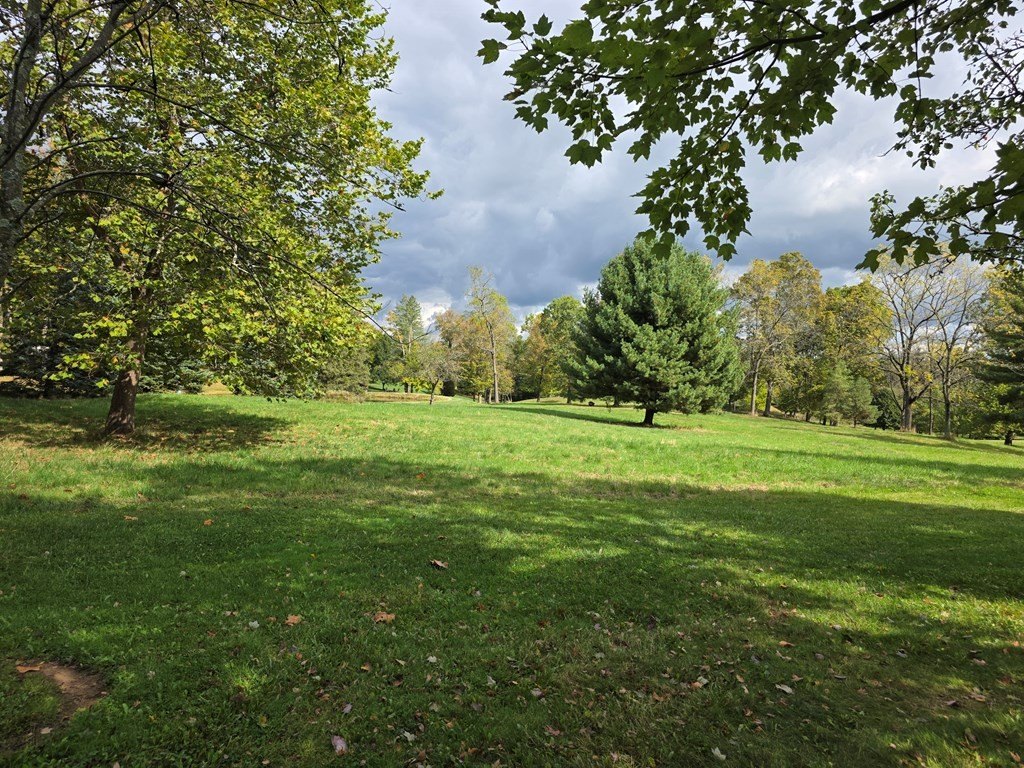 Picture 16