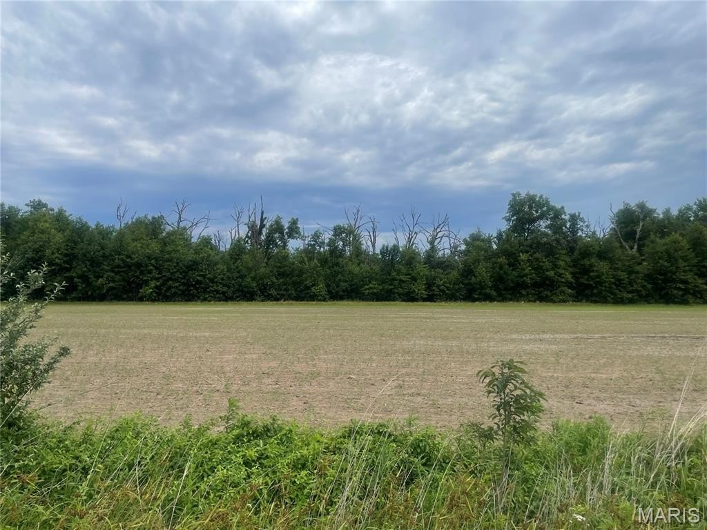 Picture 6