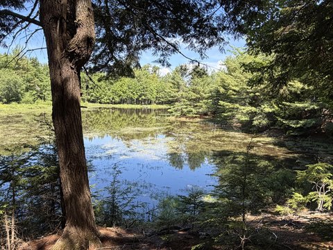 Waterfront Land Parcel with Deeded Access