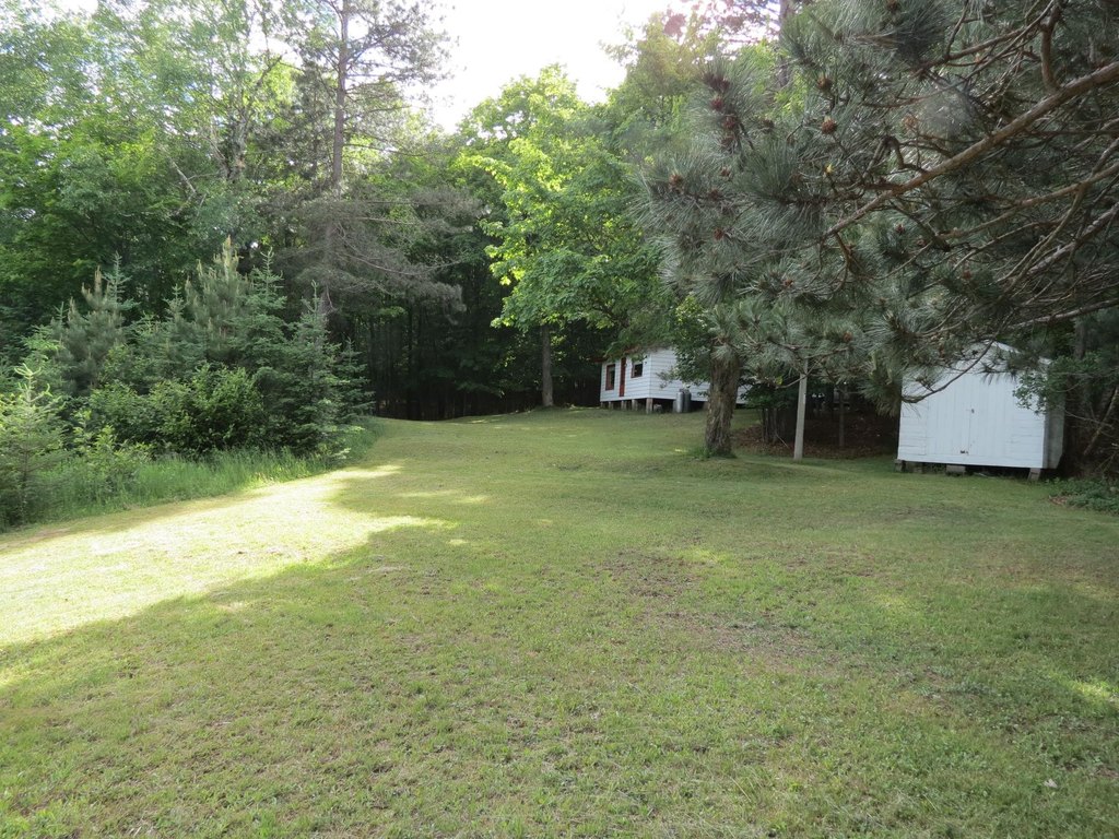 Picture 18