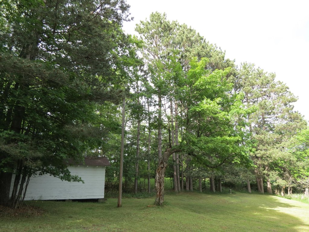 Picture 13