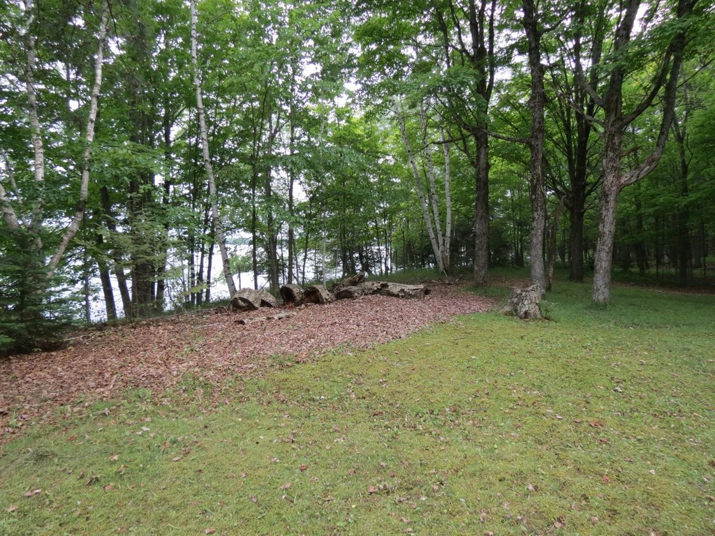 Picture 12