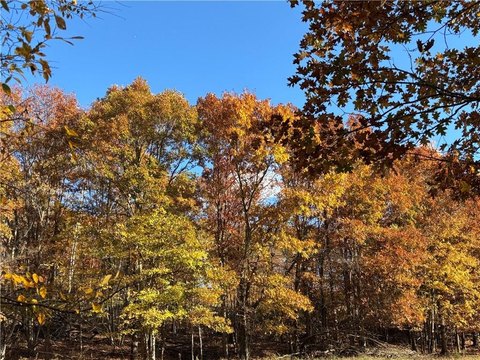 Pettigrew, AR Mixed Use Land