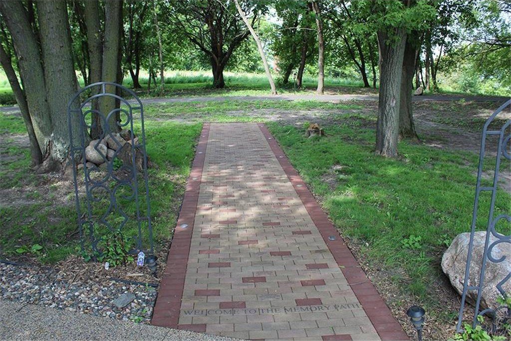 Picture 6