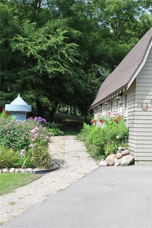 Picture 5