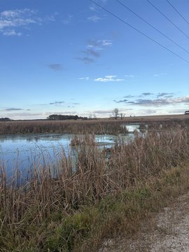 Land Bordering Manitowoc River