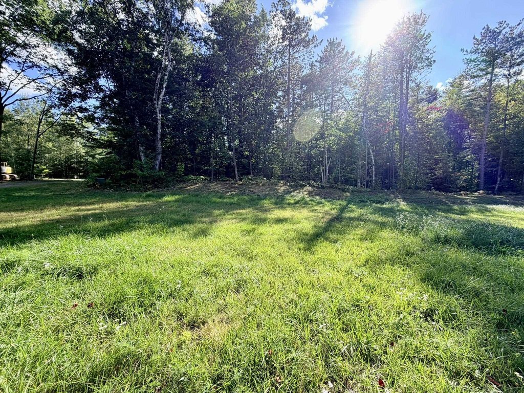 Picture 25