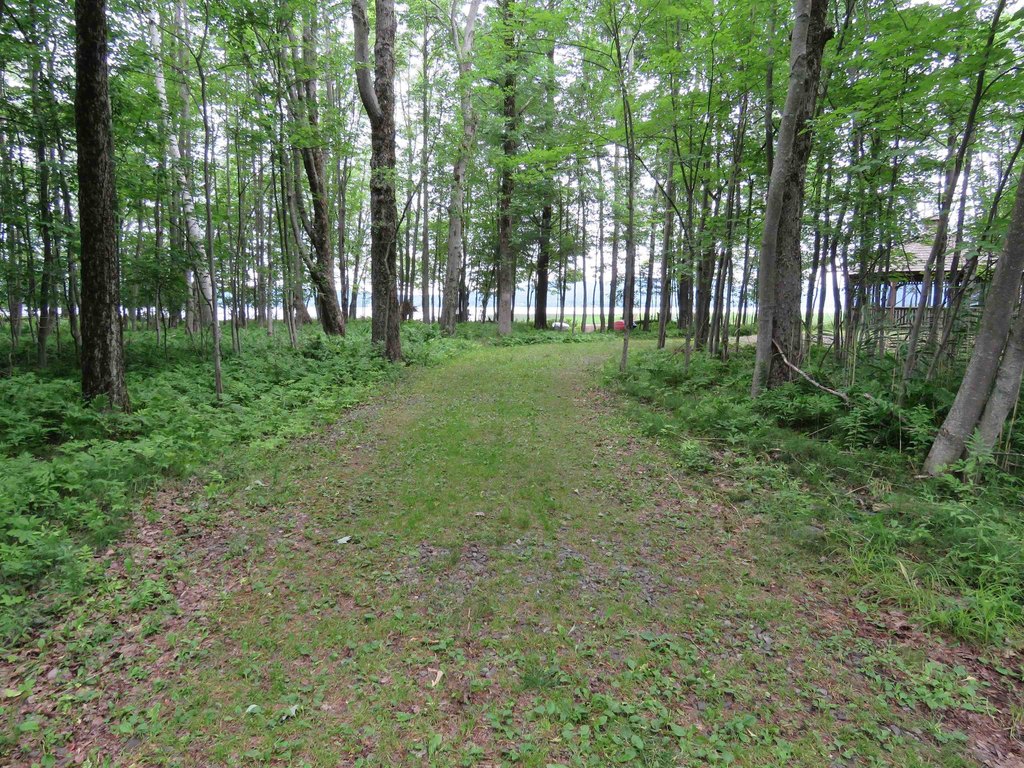 Picture 15