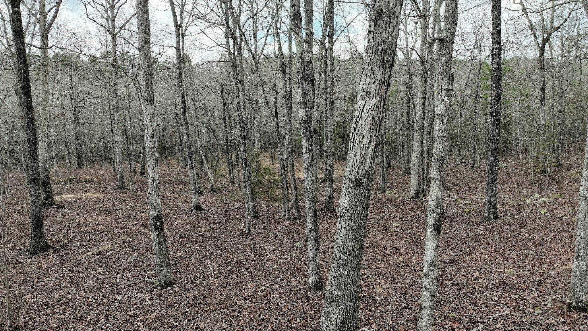 Wooded Land with Creek Access
