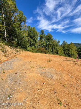 Lots & Acreage, Caryville, TN