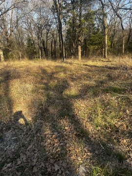 Residential Lot in Mabank, TX