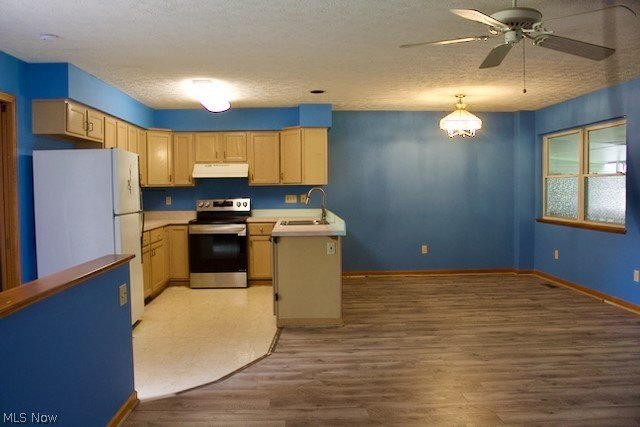 Picture 5