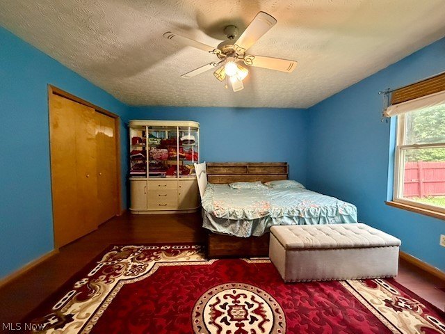 Picture 26