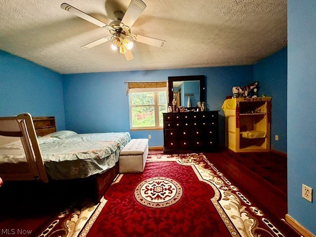 Picture 27