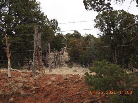 35+ Acre Rural Homesite