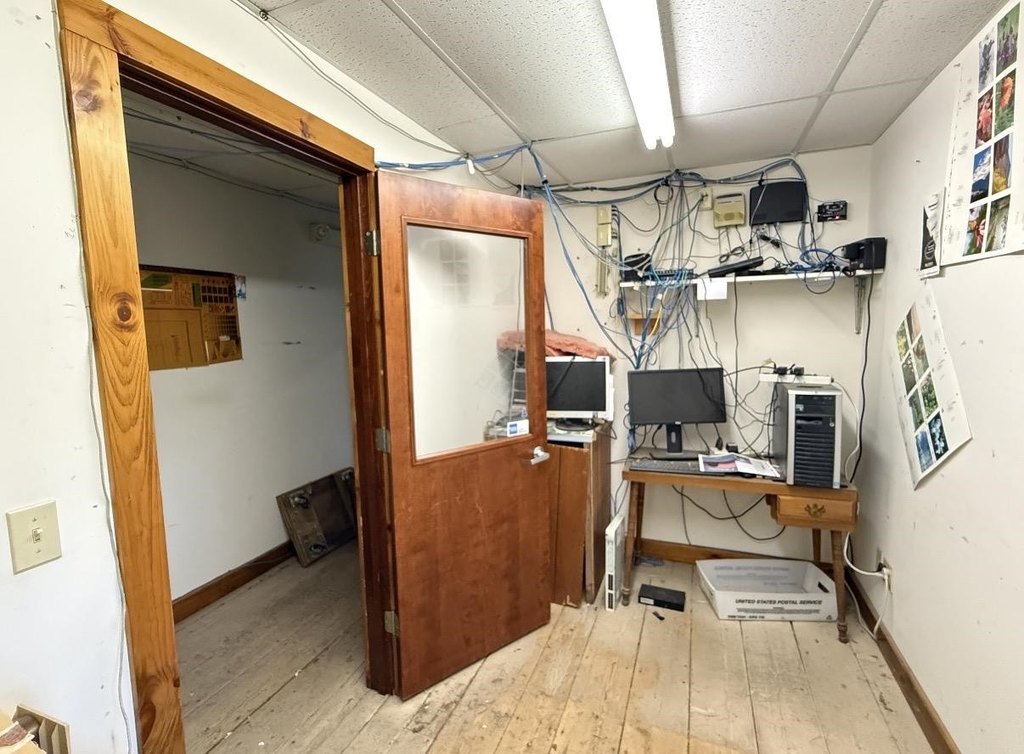 Picture 16