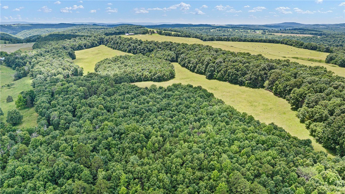 102 Acres Recreational Land in Arkansas