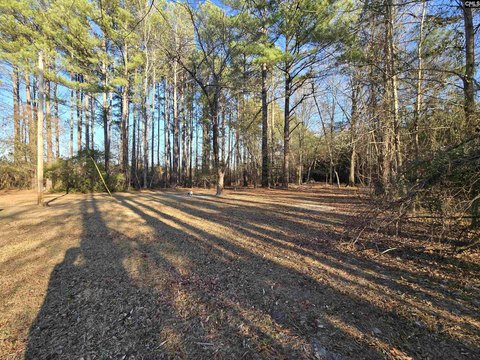 Residential Lot in Hopkins, SC