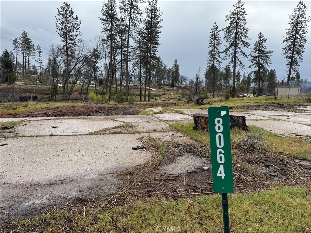 Commercial Lot on Skyway