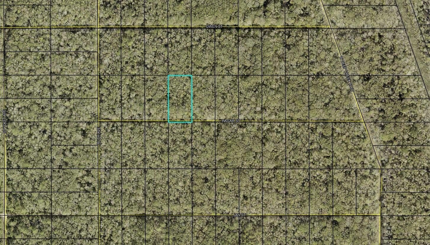 Land in Flagler Estates