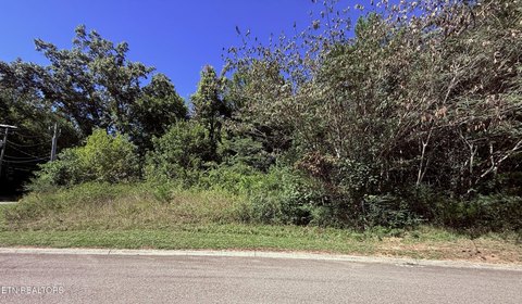 Lots & Acreage, Powell, TN