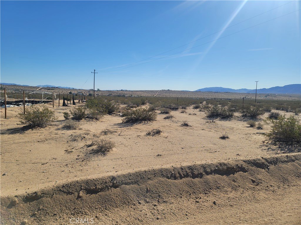Picture 12