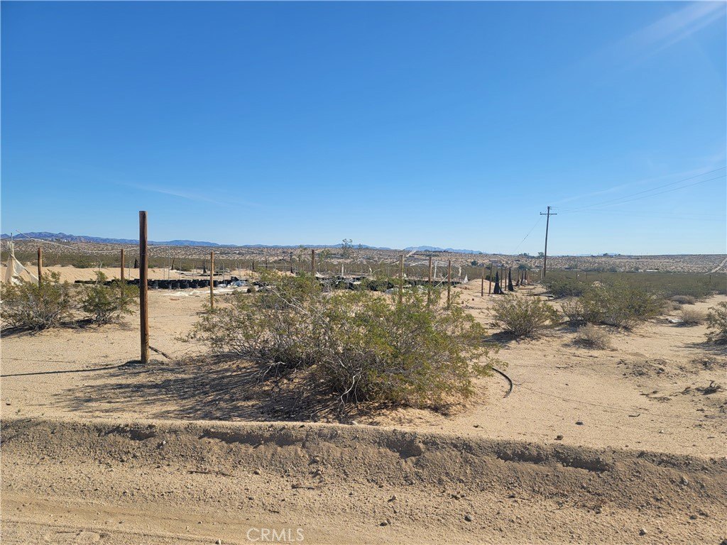Picture 16