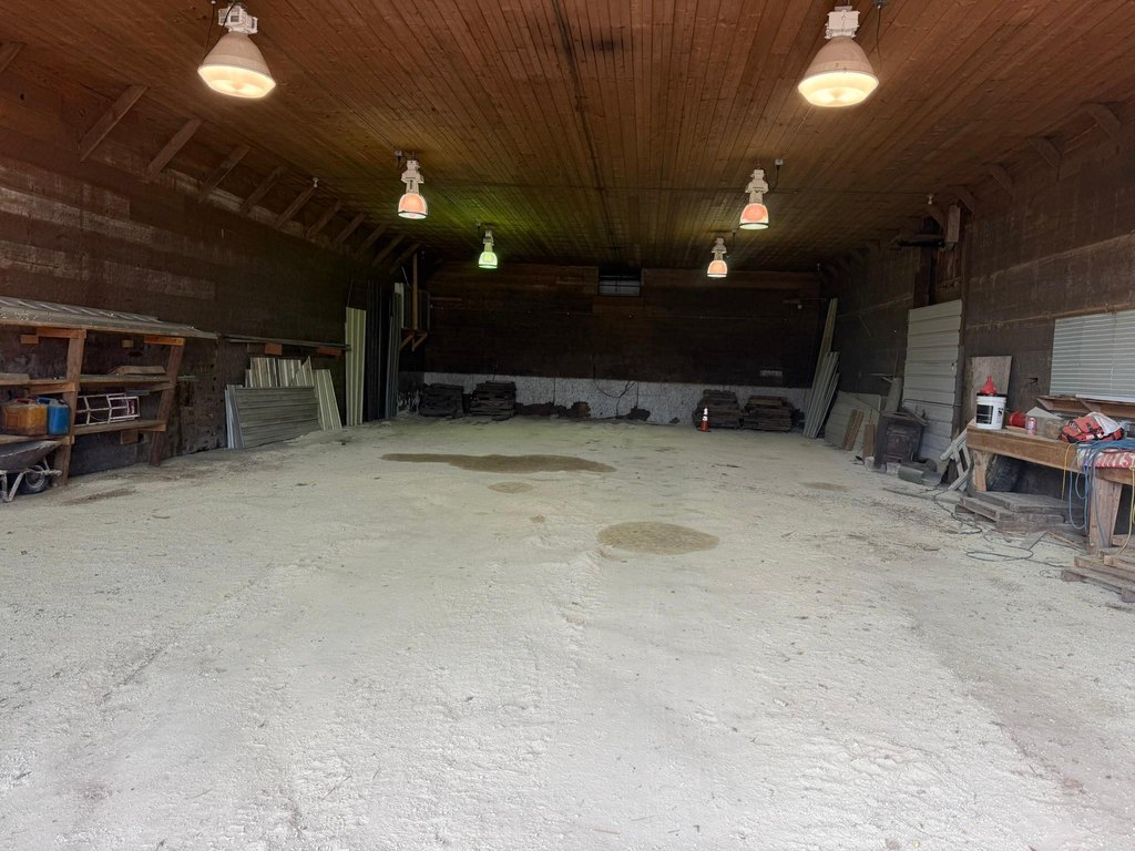 Picture 5