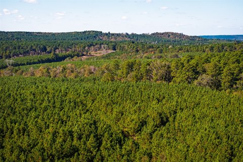 Timber and Hunting Tract