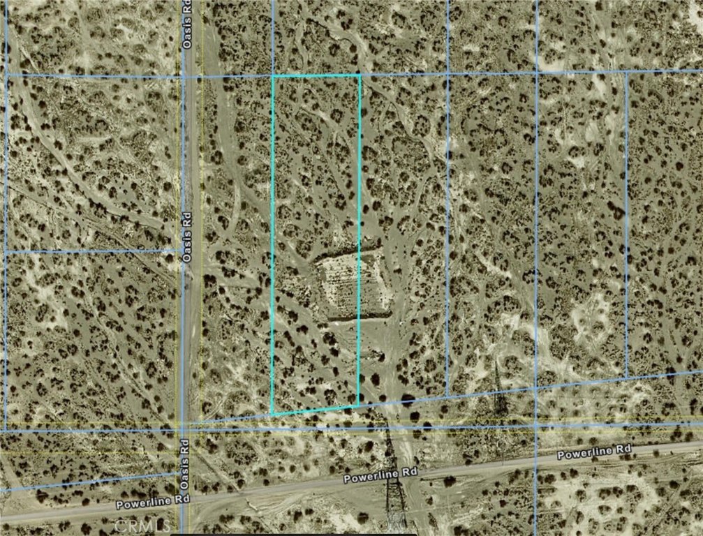 Picture 3