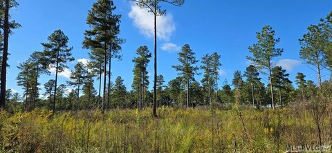 Residential Land in Lawrenceville, VA