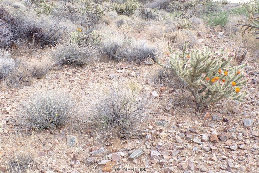 Picture 11