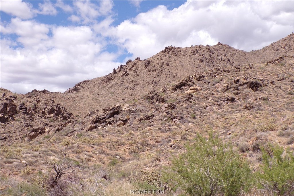 Picture 31