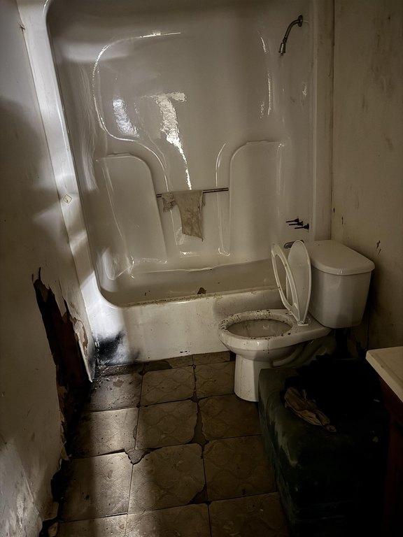 Picture 31