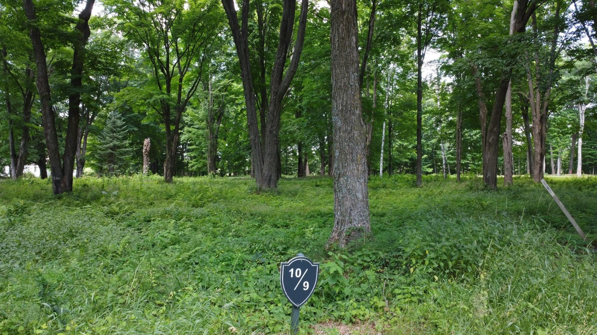 Antigo, WI Land Opportunity