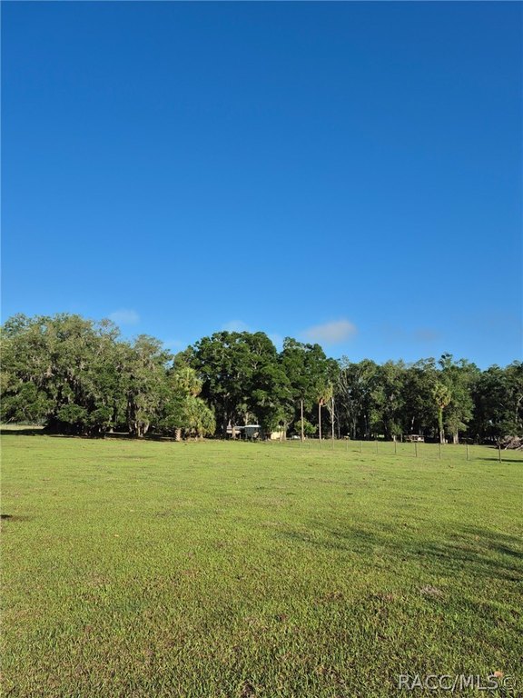 Picture 20
