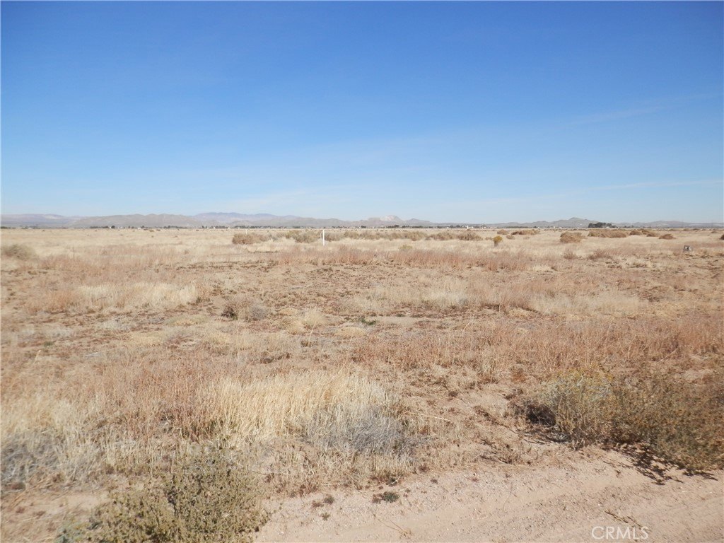 Picture 5