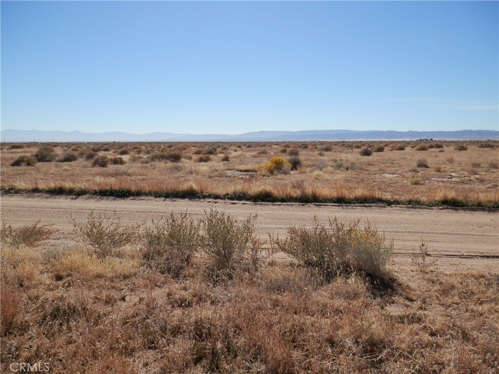 Picture 4