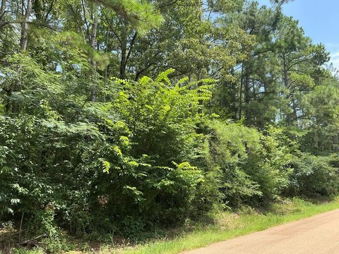 Land, OXFORD, MS