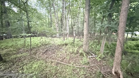LAND - East Stroudsburg, PA