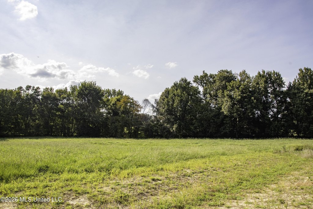 Picture 36