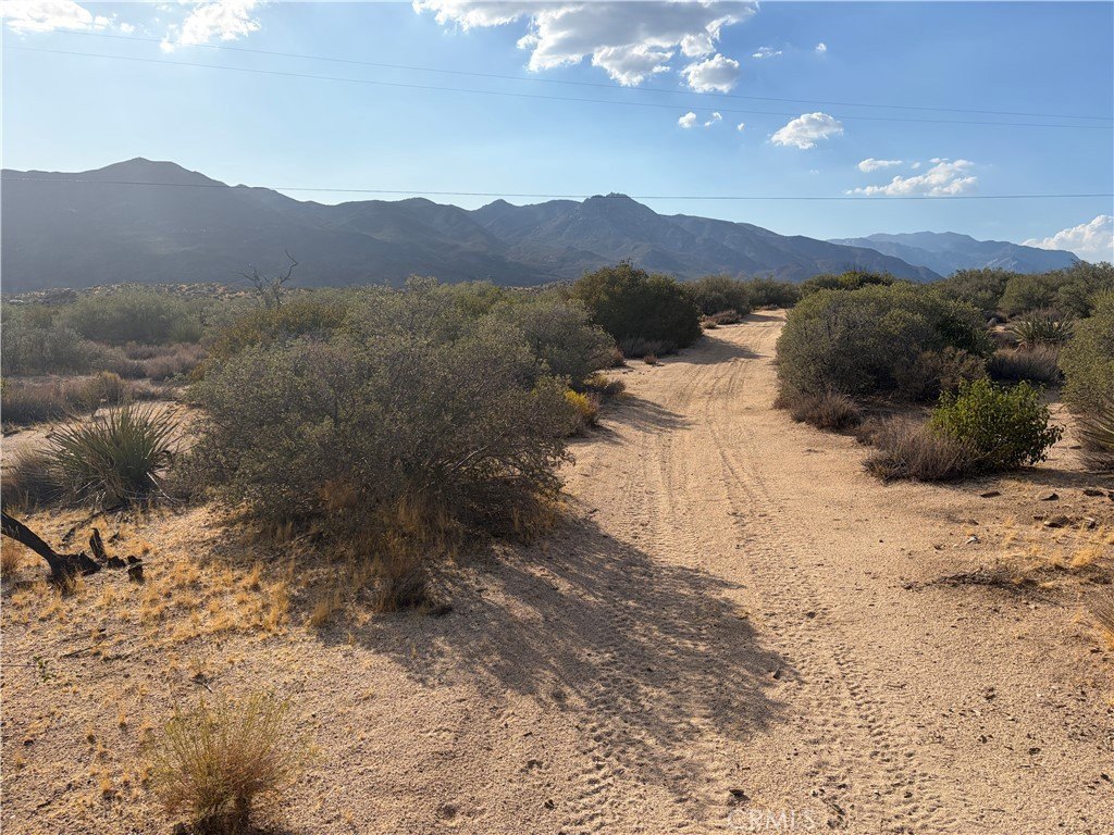 Picture 7